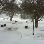 snowy FPC